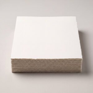 Printmaking Paper Pack 250gsm